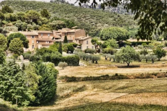 Pellela: Exploring the Meaning, Heritage, and Significance