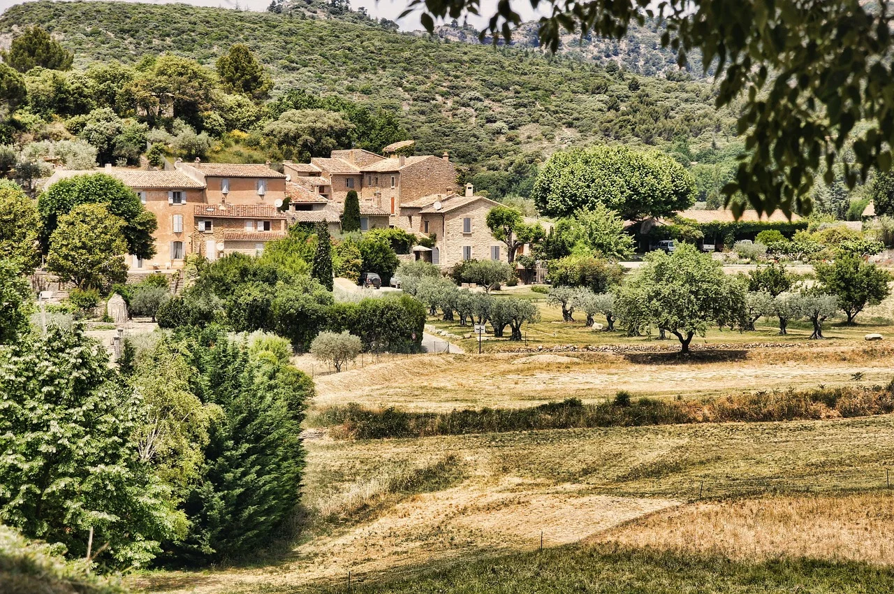 Pellela: Exploring the Meaning, Heritage, and Significance