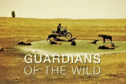 Viltnemnda: Norway’s Local Guardians of Wildlife