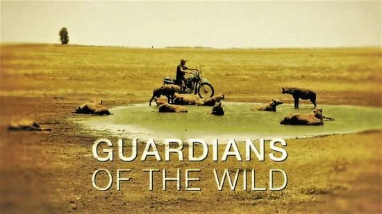 Viltnemnda: Norway’s Local Guardians of Wildlife