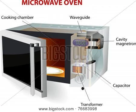 What Is a “Microwey”? (Microwave Oven Explained)