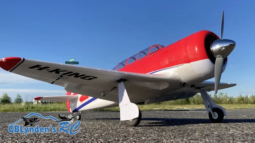 Nicki Noir – yak111