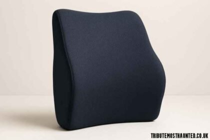 BCK Cushion: The Complete Guide to Back Support, Comfort, and Posture