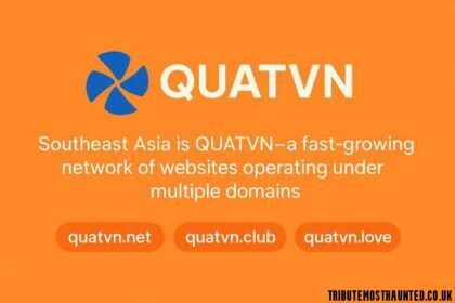 Quatvn: Complete Analysis of the Vietnam-Focused Web Network
