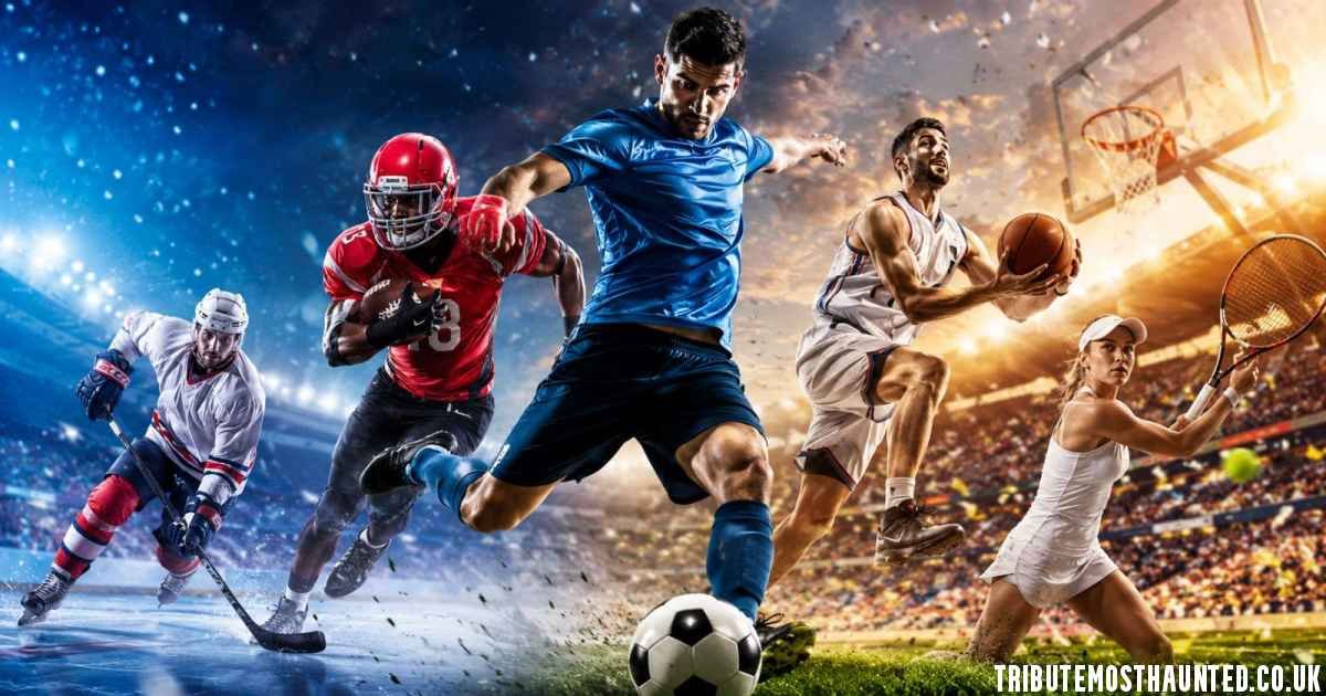 Hesball.com: What Is FawaNews “Your Home of Sports”?