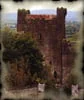 Leap Castle Leap Castle