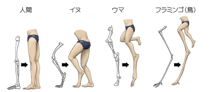 Legs4dayz1000