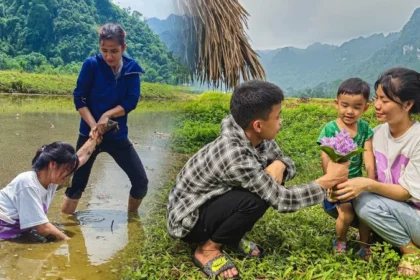 VietMom